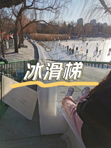 陶然亭公园*冰雪嘉年华