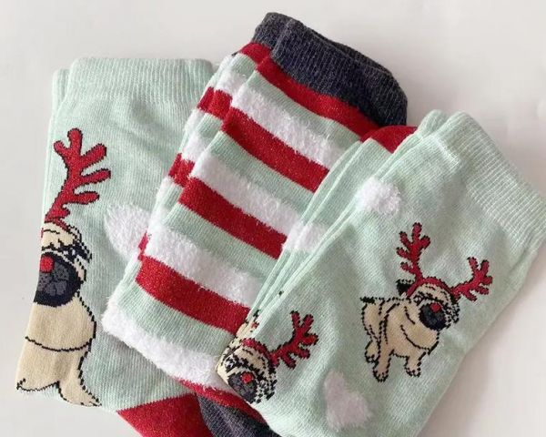自制宠物袜子狗狗衣服制作方法（用简单的步骤打造特色宠物装扮，让你的狗狗与众不同）