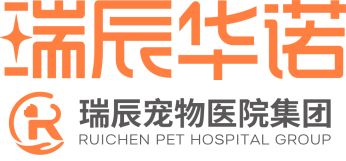 源自兽医本心——瑞辰宠物医院logo的灵感诠释