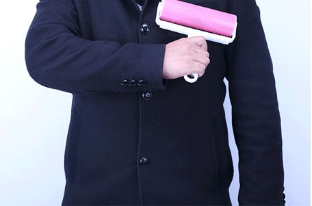 如何机智地面对宠物掉毛？一分钟Get！