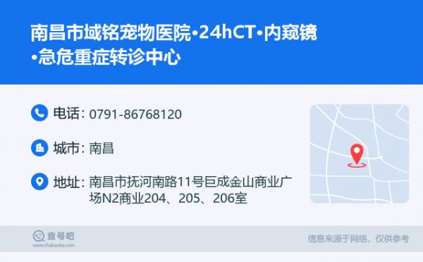 南昌市域铭宠物医院·24hCT·内窥镜·急危重症转诊中心名片