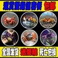 小螃蟹宠物