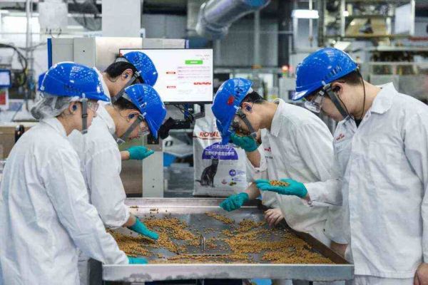 揭开「铂金工厂」神秘面纱，皇家宠物食品首支官方探厂大片上线