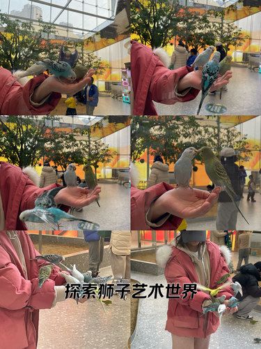 发现商场新角落小伙伴