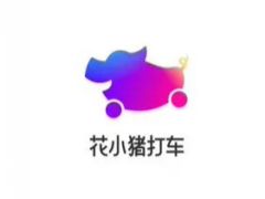滴滴出行花小猪平台被长春市约谈：长期存在绕路等违规行为，严重影响冰雪旅游经济发展