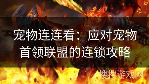 宠物连连看：应对宠物首领联盟的连锁攻略
