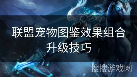 联盟宠物图鉴效果组合升级技巧