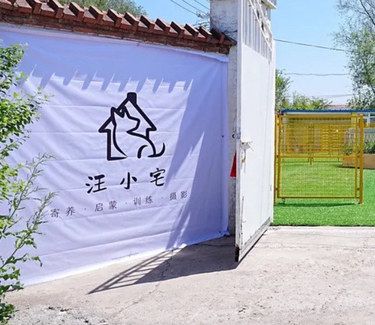 狗狗也有自己的学校了