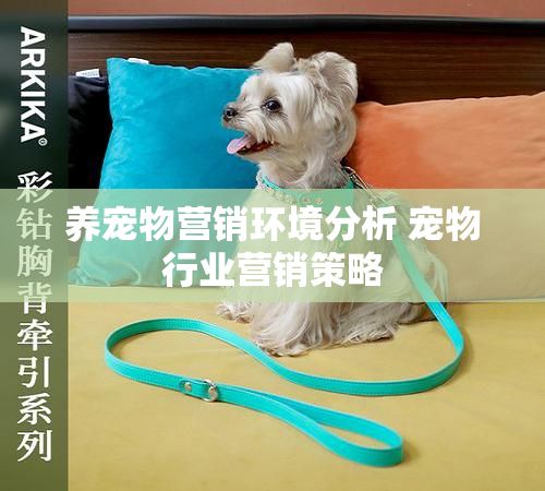 养宠物营销环境分析 宠物行业营销策略