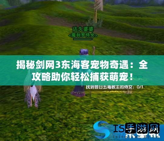 揭秘剑网3东海客宠物奇遇:全攻略助你轻松捕获萌宠!