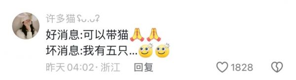 铲屎官福利来袭!广州公交喵车开通,春运猫咪带回家!