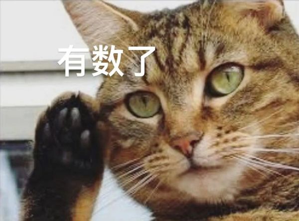 铲屎官福利来袭!广州公交喵车开通,春运猫咪带回家!