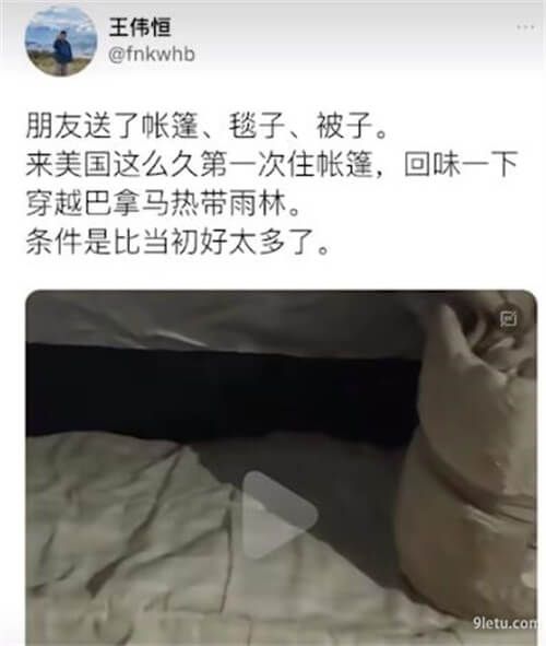 电子宠物是什么意思网络用语，养成系博主