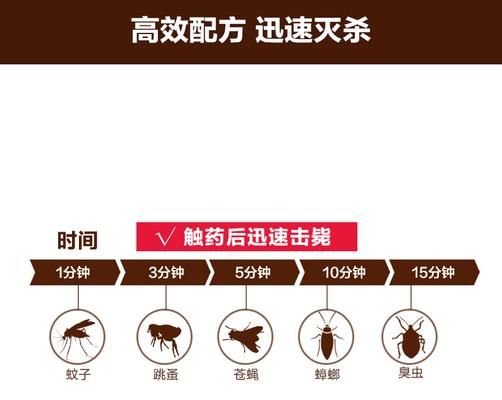 宠物跳蚤和虱子的去除指南（保护宠物健康，除去跳蚤虱子，）