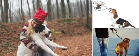 您家狗狗犬吠扰民吗?狗狗可能在向您传递这些信息