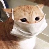 夏至快至