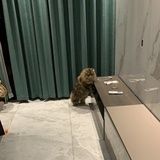 丑丑有福气