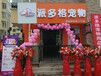 小型宠物店一年利润有多少