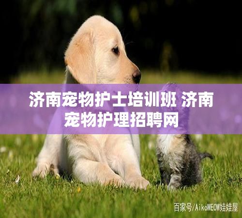 济南宠物护士培训班 济南宠物护理招聘网