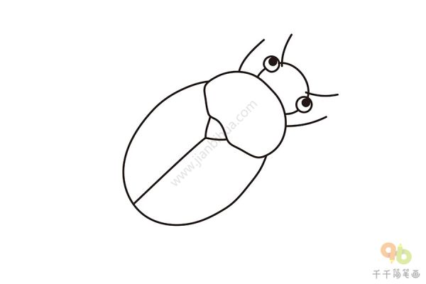 甲虫简笔画如何画_昆虫简笔画