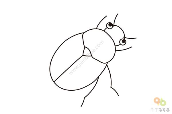 甲虫简笔画如何画_昆虫简笔画