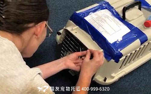 携带宠物回国