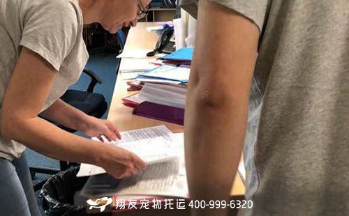 带宠物回国海关规定