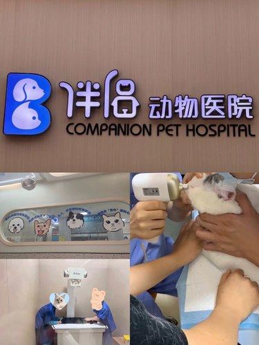 小毛头体检大概是来享受的吧