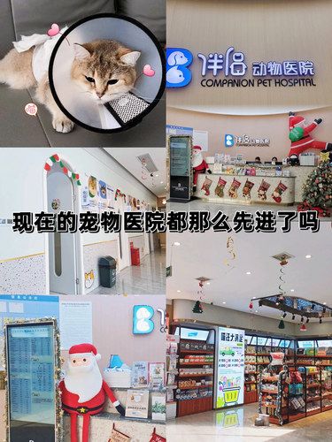 长沙宠物医院中的“三甲”