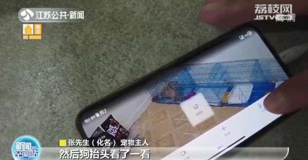 暖心！无锡现“宠物方舱”专门收容涉疫宠物