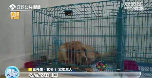 暖心！无锡现“宠物方舱”专门收容涉疫宠物
