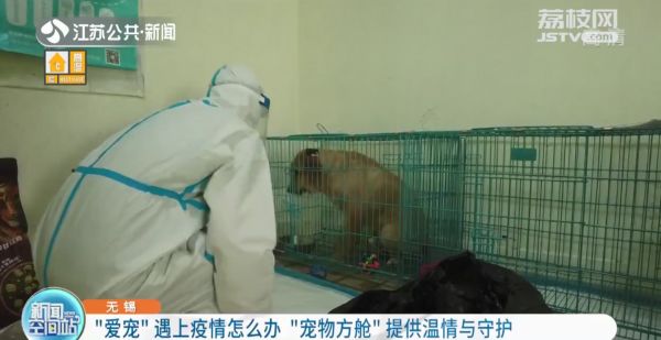 暖心！无锡现“宠物方舱”专门收容涉疫宠物