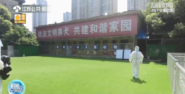 暖心！无锡现“宠物方舱”专门收容涉疫宠物