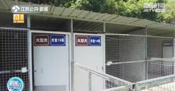 暖心！无锡现“宠物方舱”专门收容涉疫宠物