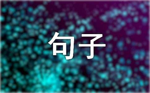 关于宠物的句子13篇