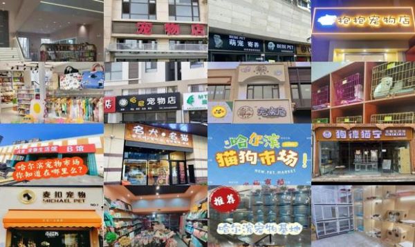 哈尔滨宠物店