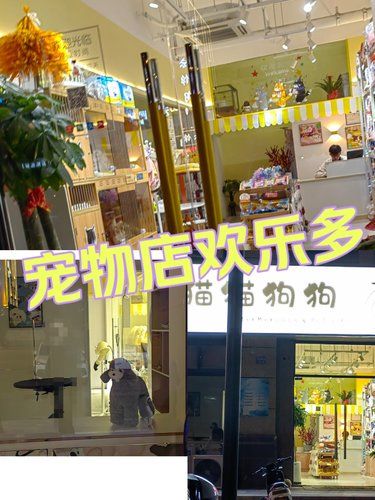 新开的宠物店