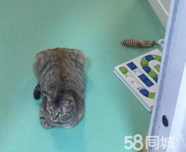 店主头像