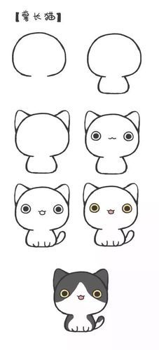 简笔画教程超可爱的猫咪简笔画记得收藏哦