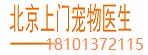 北京上门宠物医生