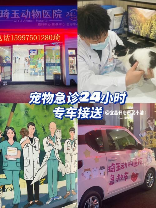 宠物医院24小时热线（宠物医院客服电话）