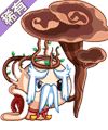 万寿芝王