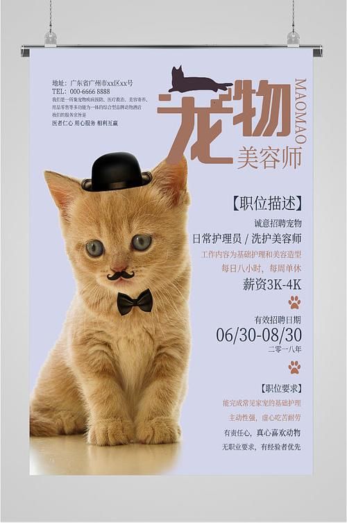 上海宠物美容师招聘（上海的宠物美容培训学校）
