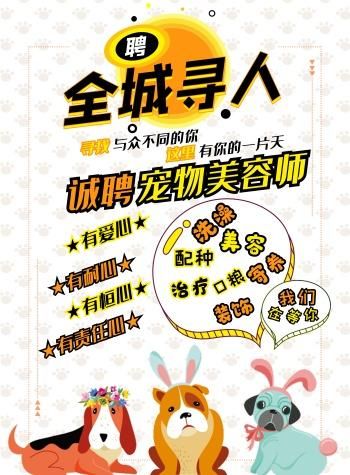 上海宠物美容师招聘（上海的宠物美容培训学校）