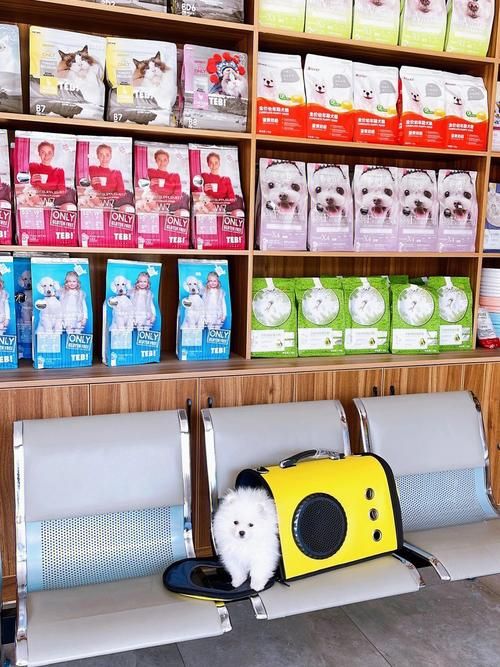 宠物店驱虫多少钱（宠物店驱虫多少钱手工）