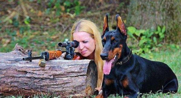 以杜宾犬能长多大（探秘杜宾犬生长的秘密，了解宠物生命的规律）