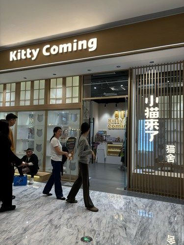 万象城唯一推荐的猫舍…要被萌化了