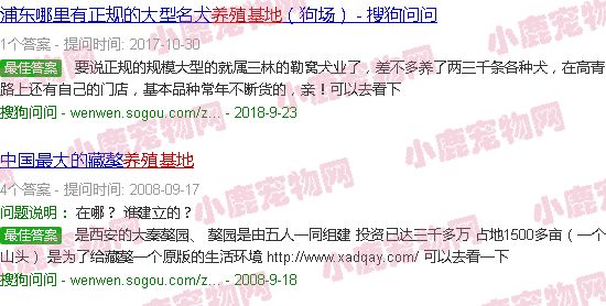 大型犬养殖基地