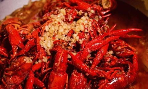 小龙虾当宠物养喂什么好