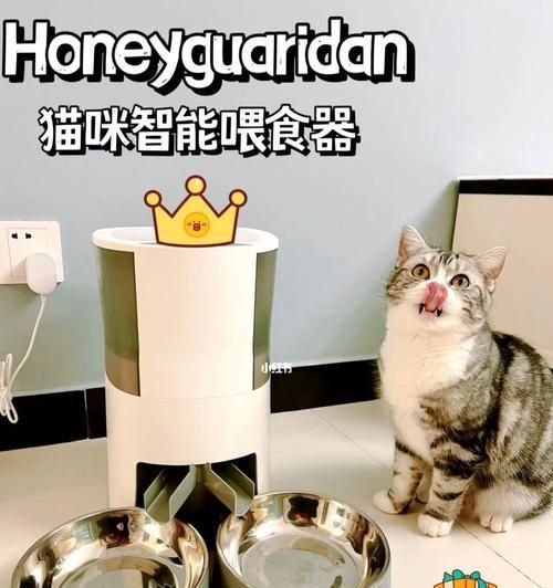 喵味十足的猫咪餐具（宠物的专属餐具）